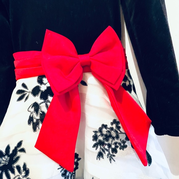 Rare Editions Girls Velvet Bodice to Embroidered Skirt. - Picture 3 of 4